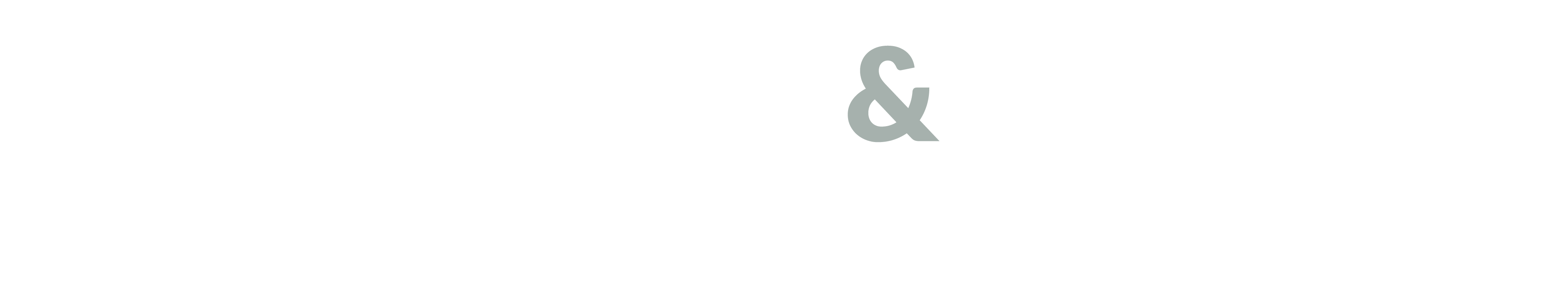 LOFINO&PARTNERS SRLs