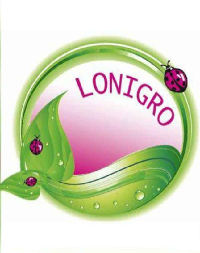 Lonigro Group Srl 