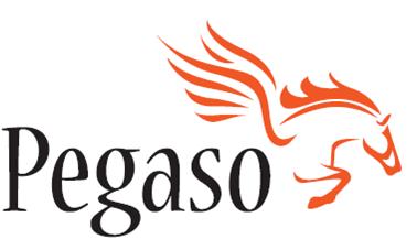 Soc. Coop. sociale PEGASO a r.l.