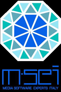M-Sei s.r.l. 