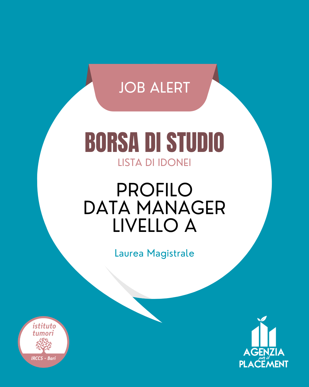 Borse di studio per Data Manager