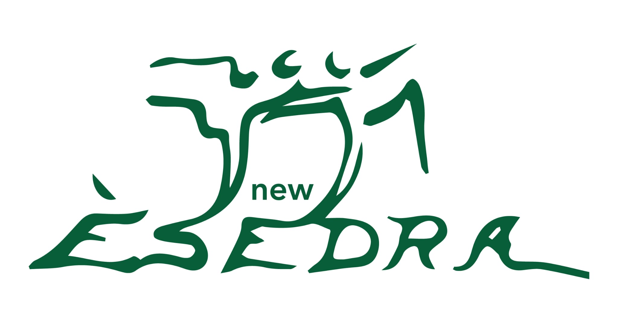 A.S.D. New Esedra