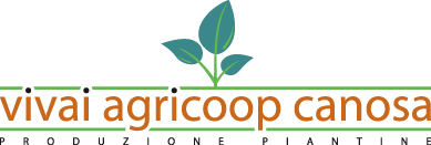 Agricoop Canosa Soc. Coop. Agr.