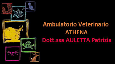 Ambulatorio Vetererinario Athena della Dott.ssa Auletta Patrizia